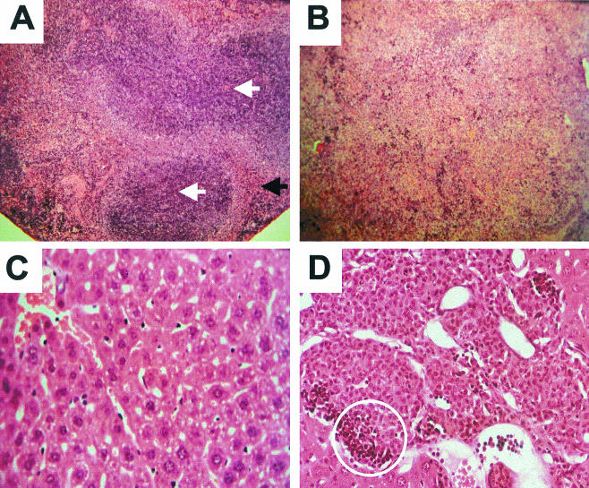 FIG. 8.