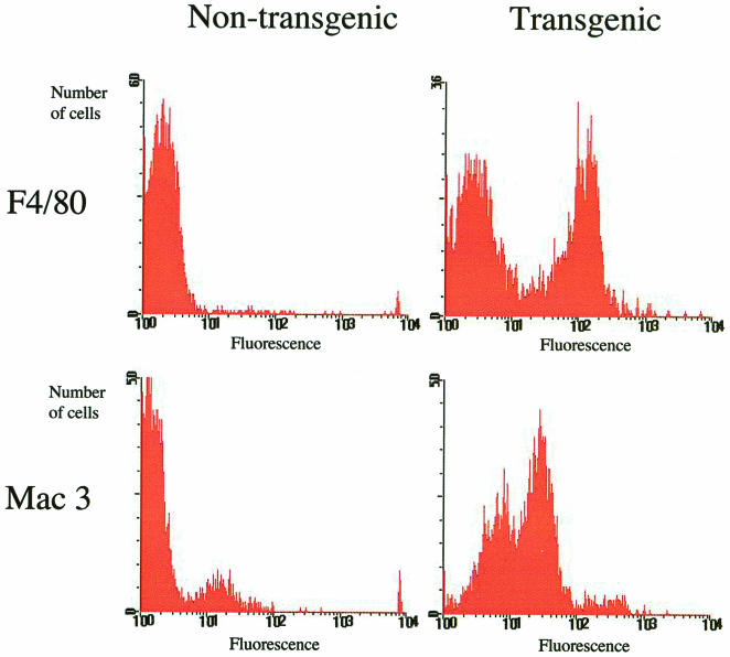 FIG. 7.