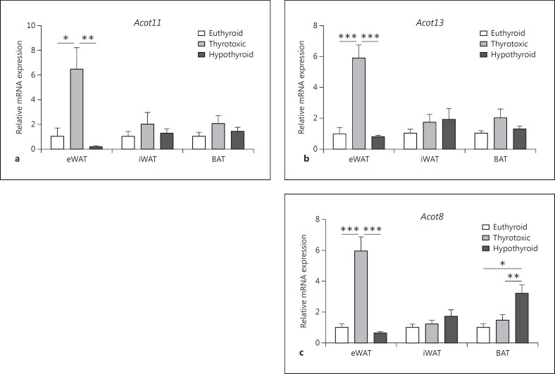 The Effects of Thyroid Hormones on Gene Expression of Acyl-Coenzyme A ...