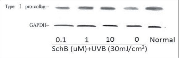 Figure 9.