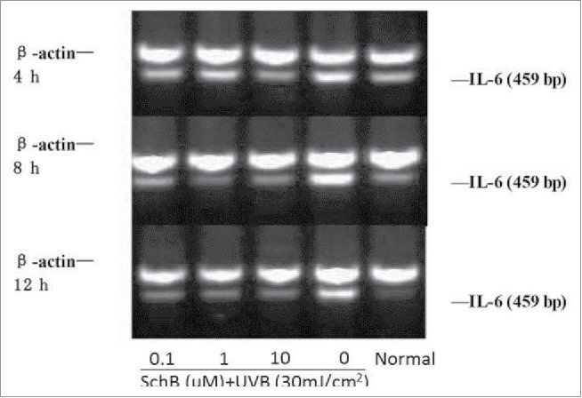 Figure 6.