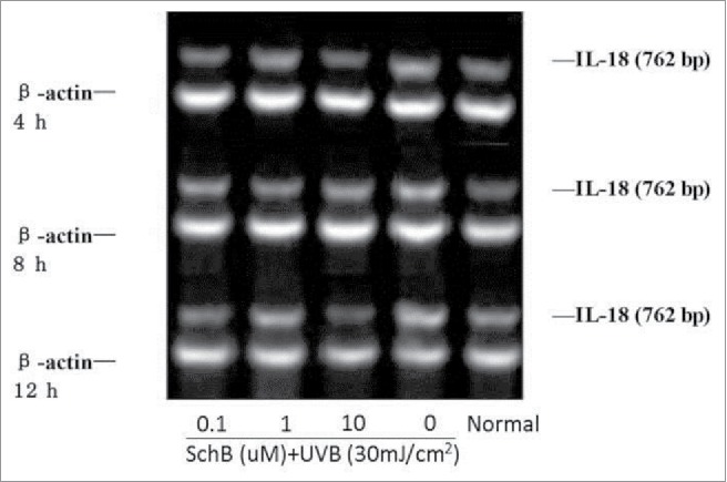 Figure 7.