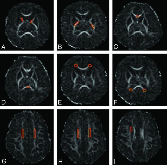 Fig 1.