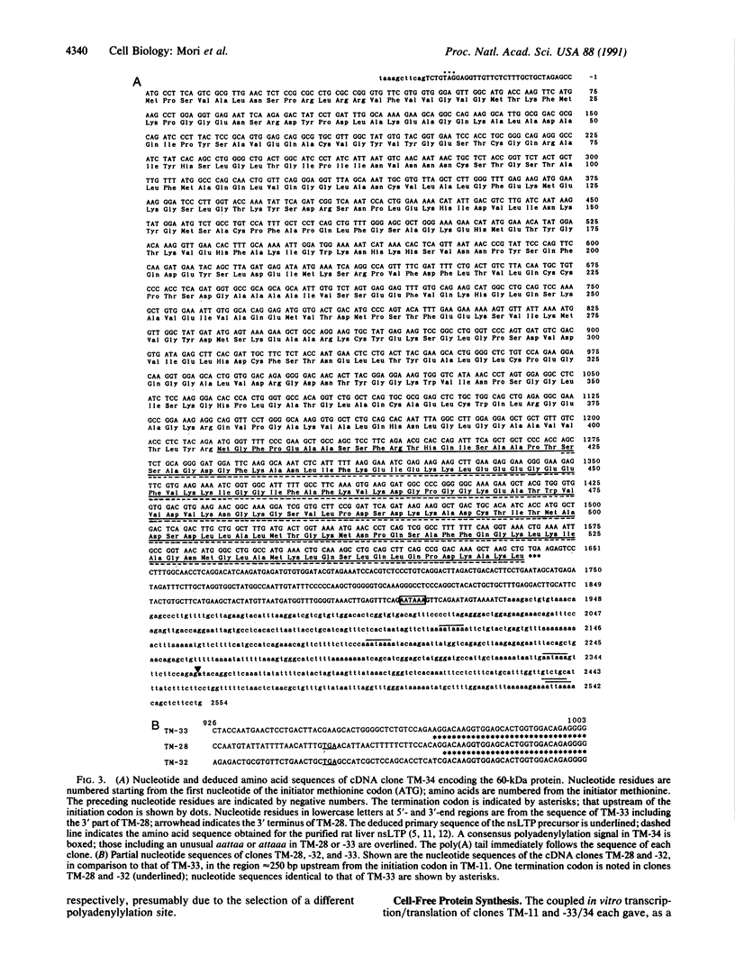 4340