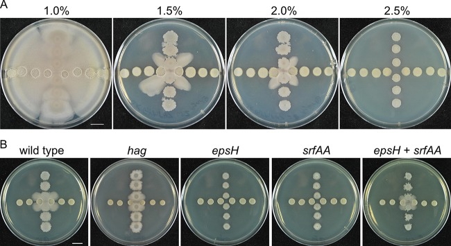 FIG 2 