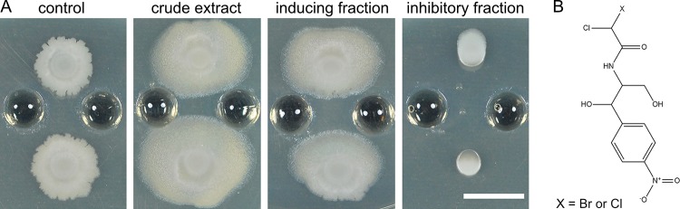 FIG 3 