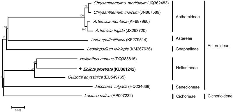 Figure 1.