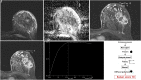 Figure 4. a-f.