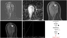 Figure 6. a-f.