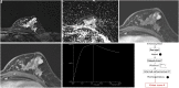 Figure 3. a-f.