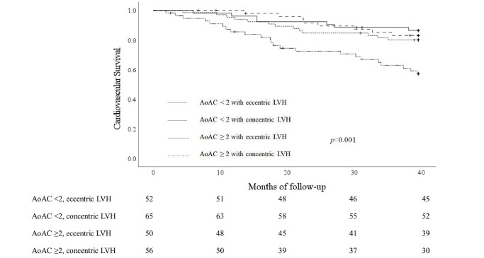 Fig.2. Cardiovascular survival curves according to participants’ vascular calcification and LVH type