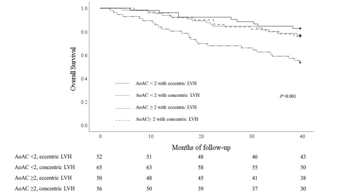 Fig.3. Overall survival curves according to participants’ vascular calcification and LVH type