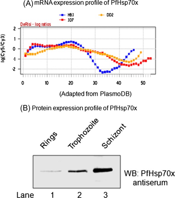 Figure 4.