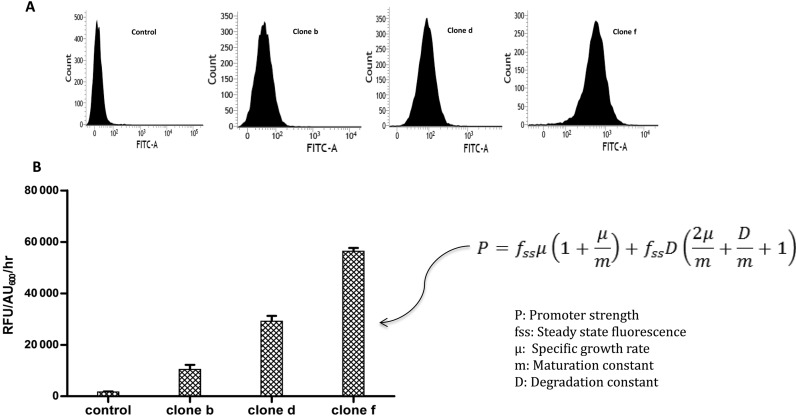 Figure 3.