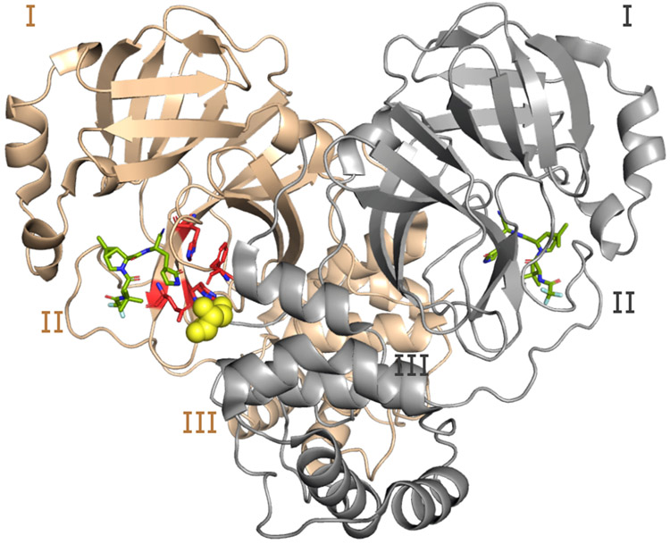 Figure 1: