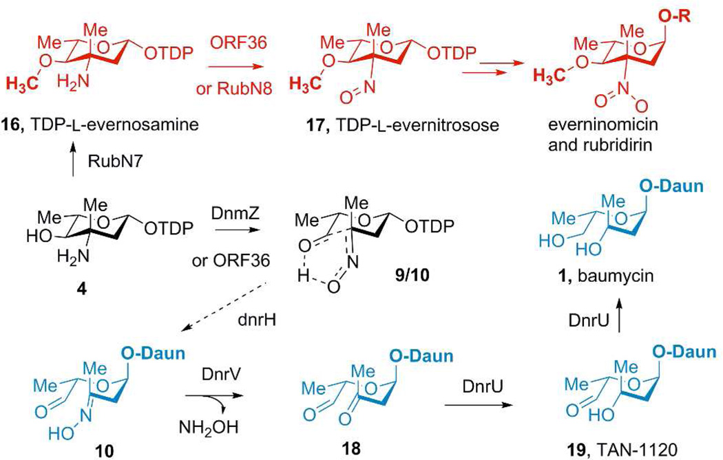 Figure 6