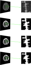Fig. 6