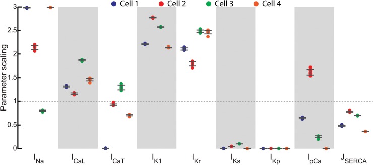 Fig 6