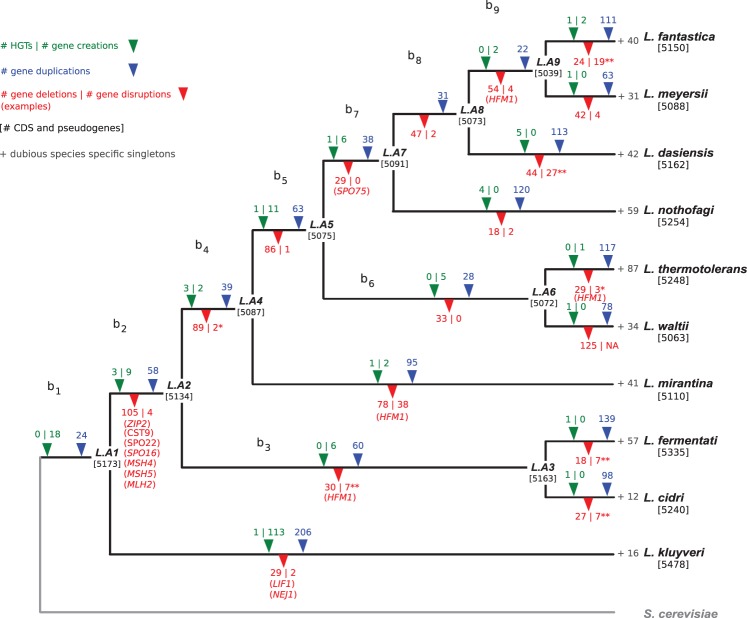 Figure 2.