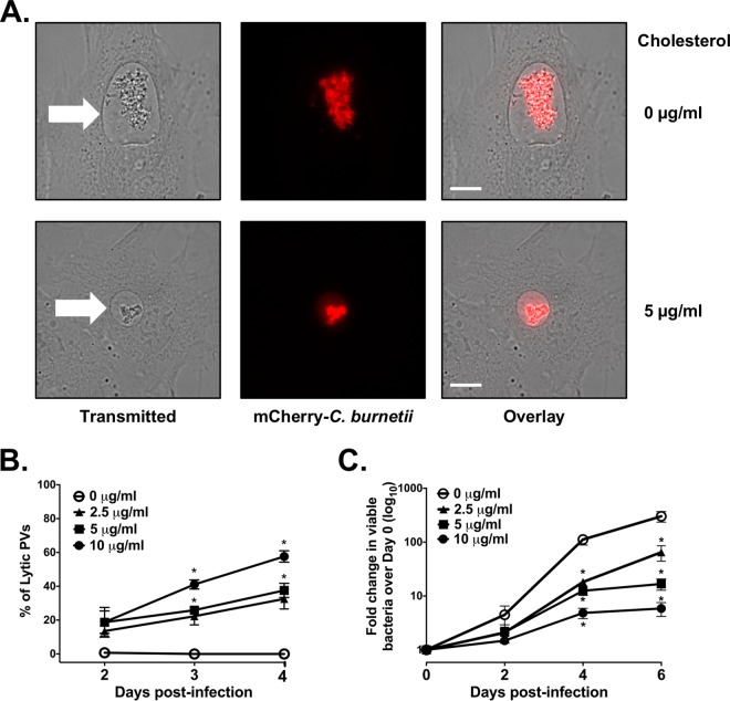 FIG 2 