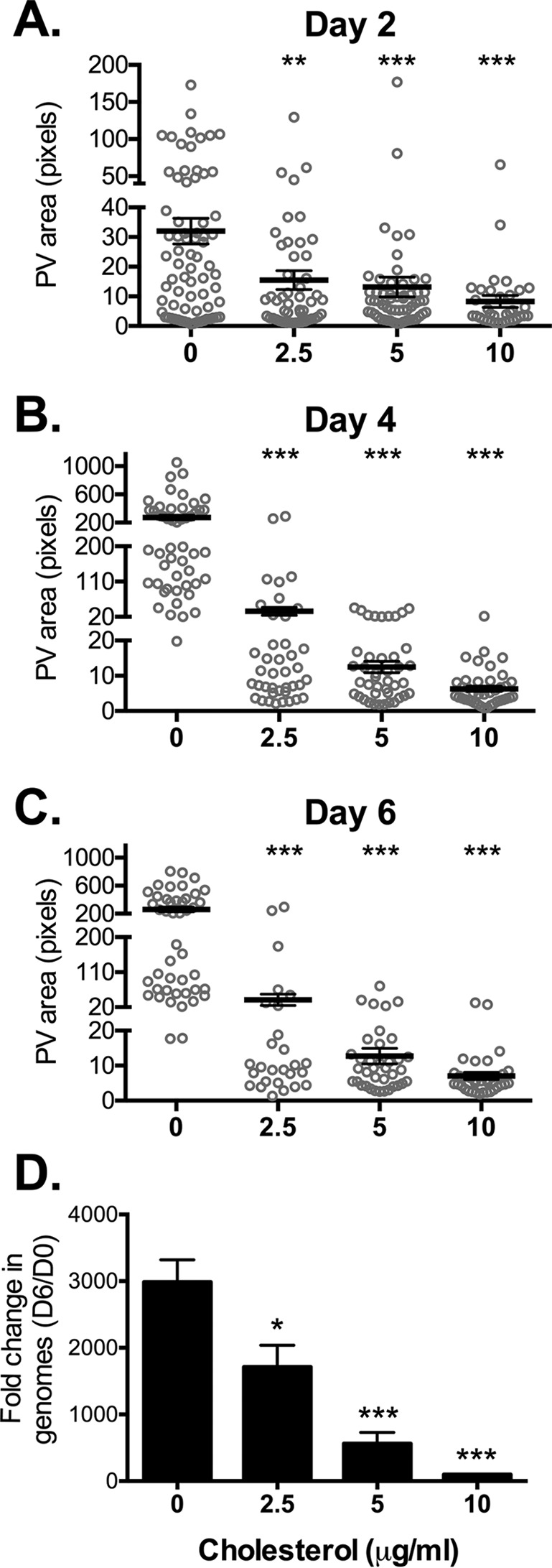 FIG 1 