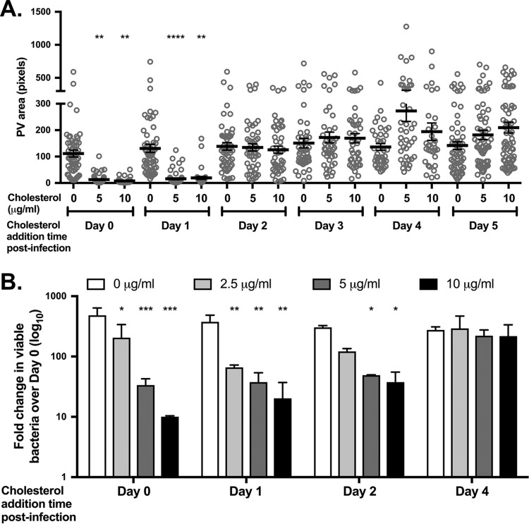 FIG 4 