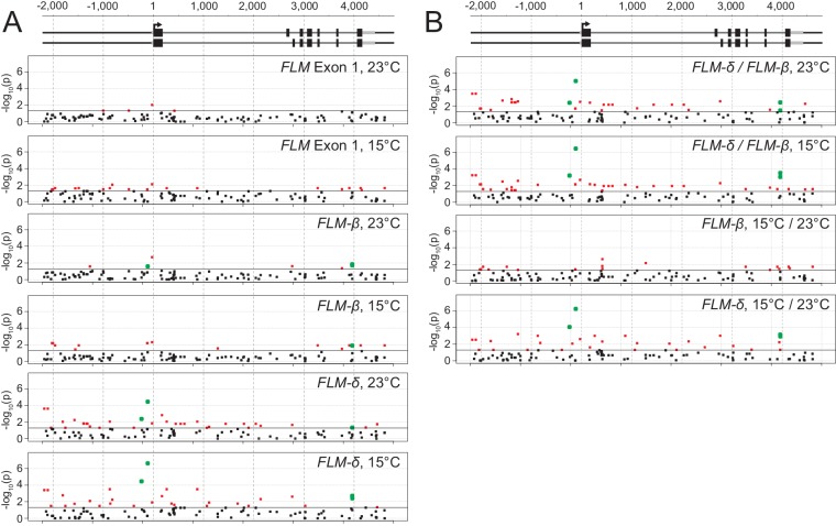 Figure 3—figure supplement 5.