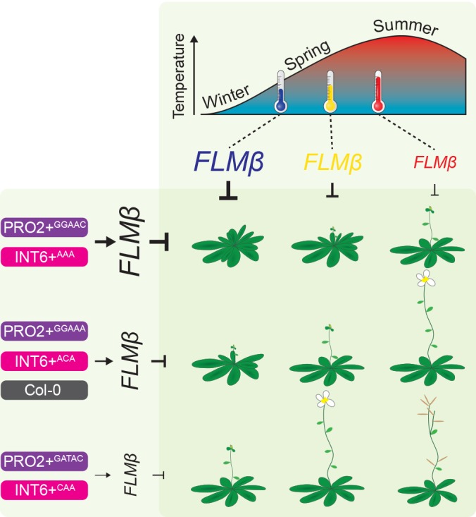 Figure 9.