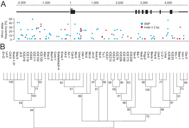 Figure 3—figure supplement 4.