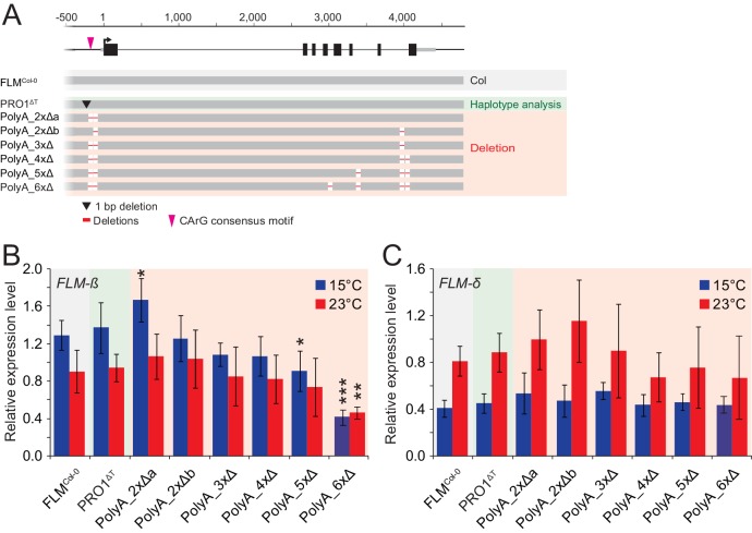 Figure 4—figure supplement 1.