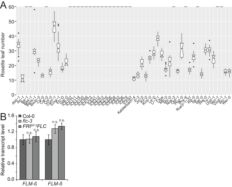 Figure 3—figure supplement 2.