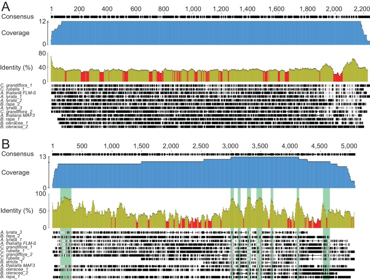 Figure 2—figure supplement 1.