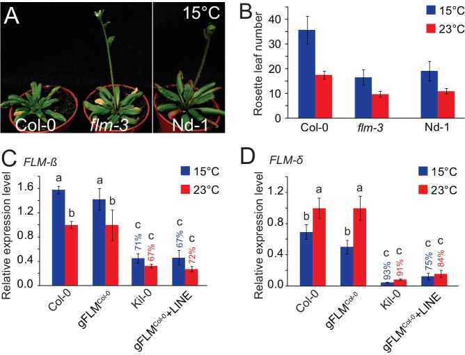 Figure 2—figure supplement 2.