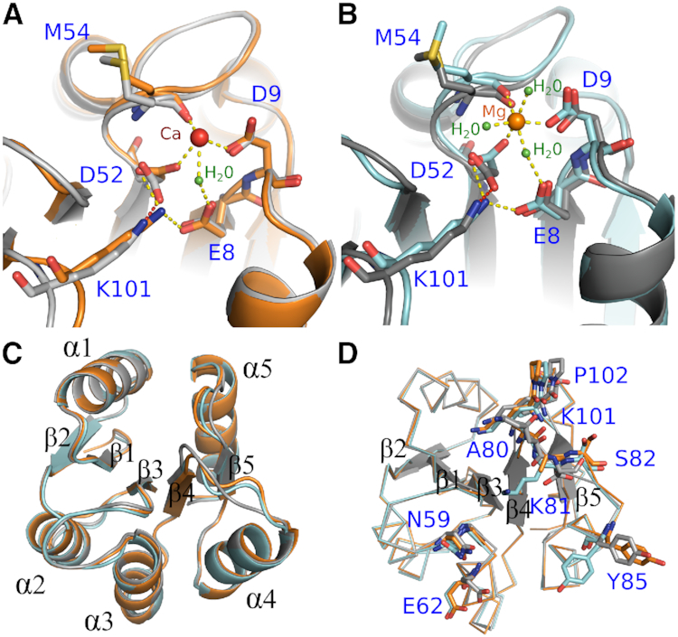 Figure 5.