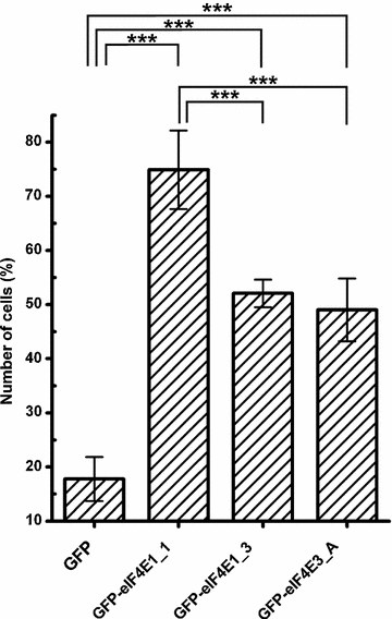 Fig. 6