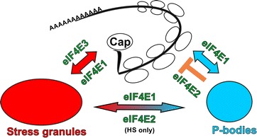 Fig. 11