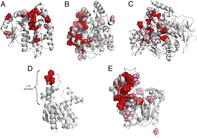 Fig. 5.