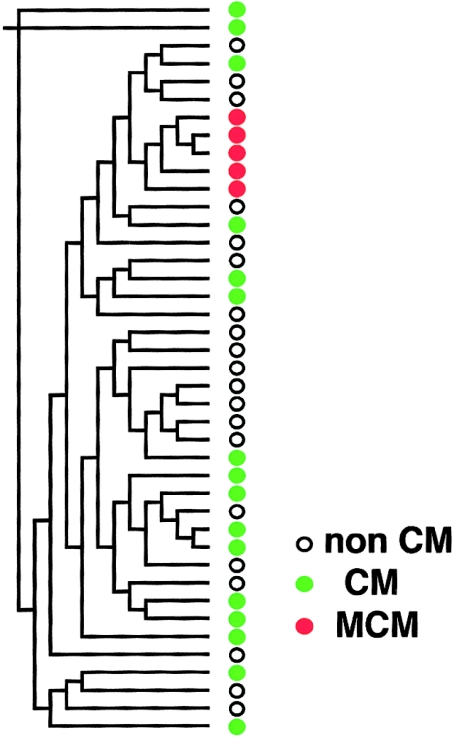 Figure  2