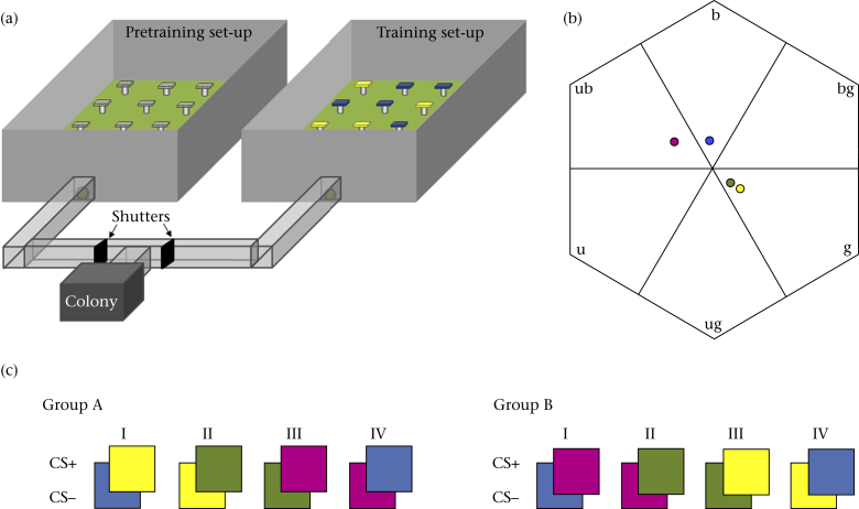 Figure 1