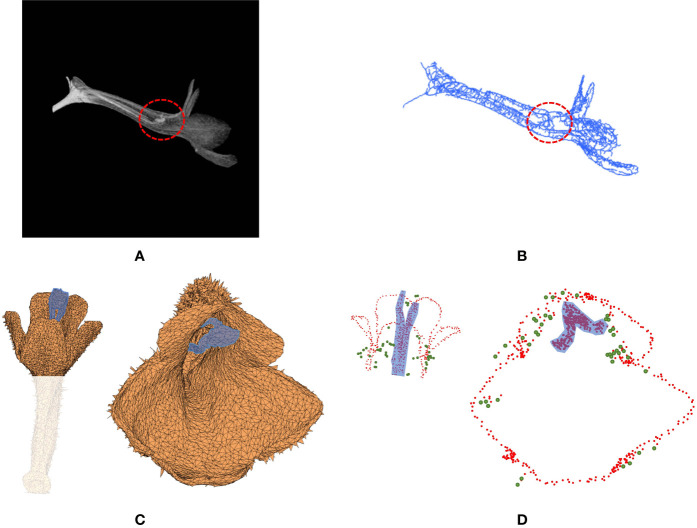 Figure 9