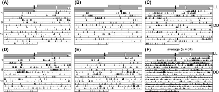 PHEN-12165-FIG-0006-b