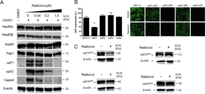 FIG 3