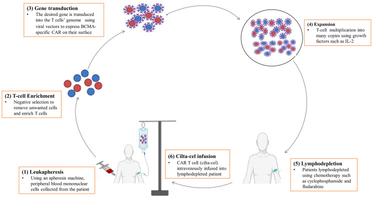 Figure 2