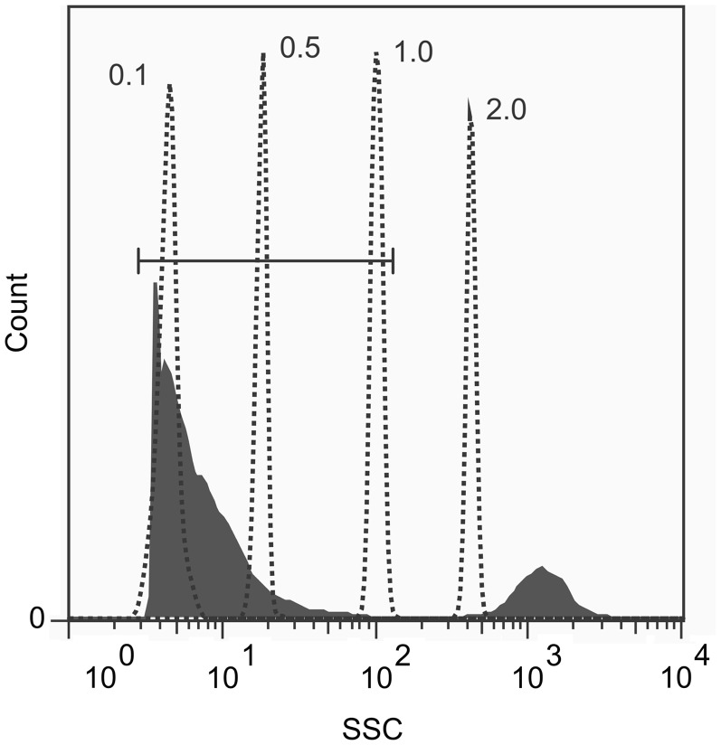 Fig. 2