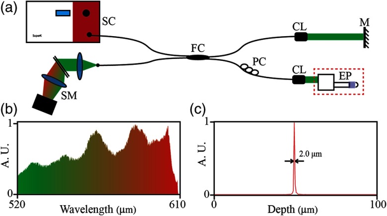 Fig. 1