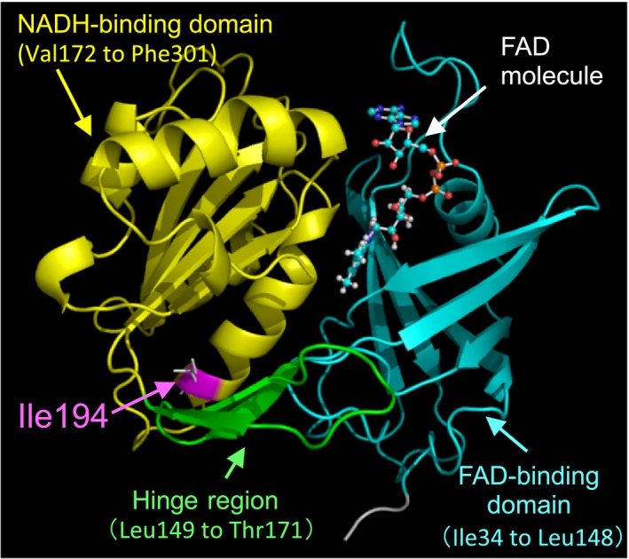 Figure 4