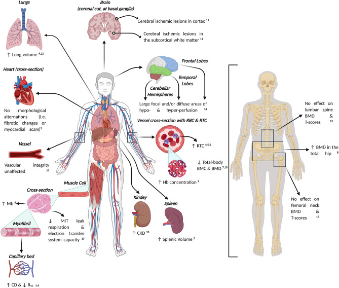 Fig. 2