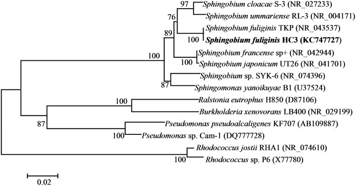 Fig 2