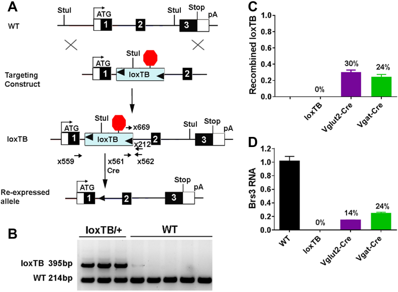 Figure 6