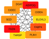 Fig 20